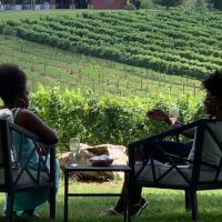 Wine Tasting Tours